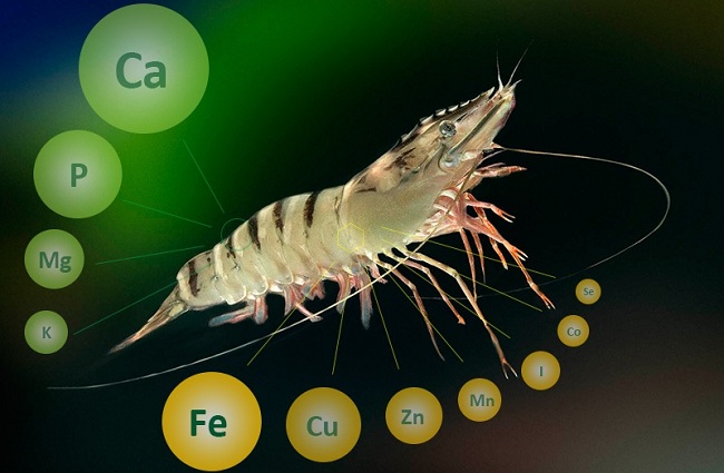 Các Loại Khoáng Quan Trọng