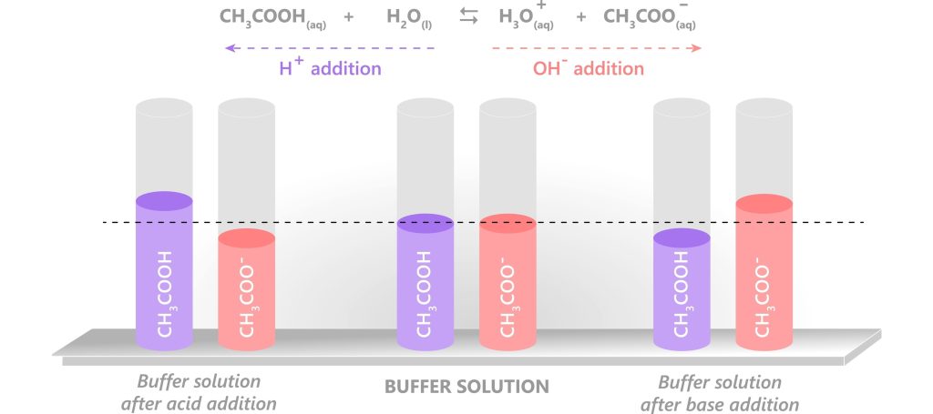 Cấu Tạo Hóa Học Của Hệ Đệm