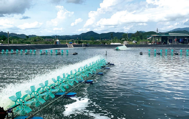 Nguyên Nhân Gây Biến Động Độ Kiềm