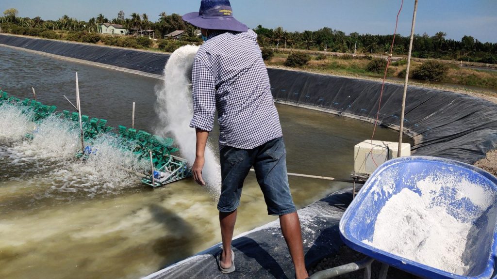 Phương Pháp Dùng Vôi (Giải Pháp Phổ Biến Nhất)