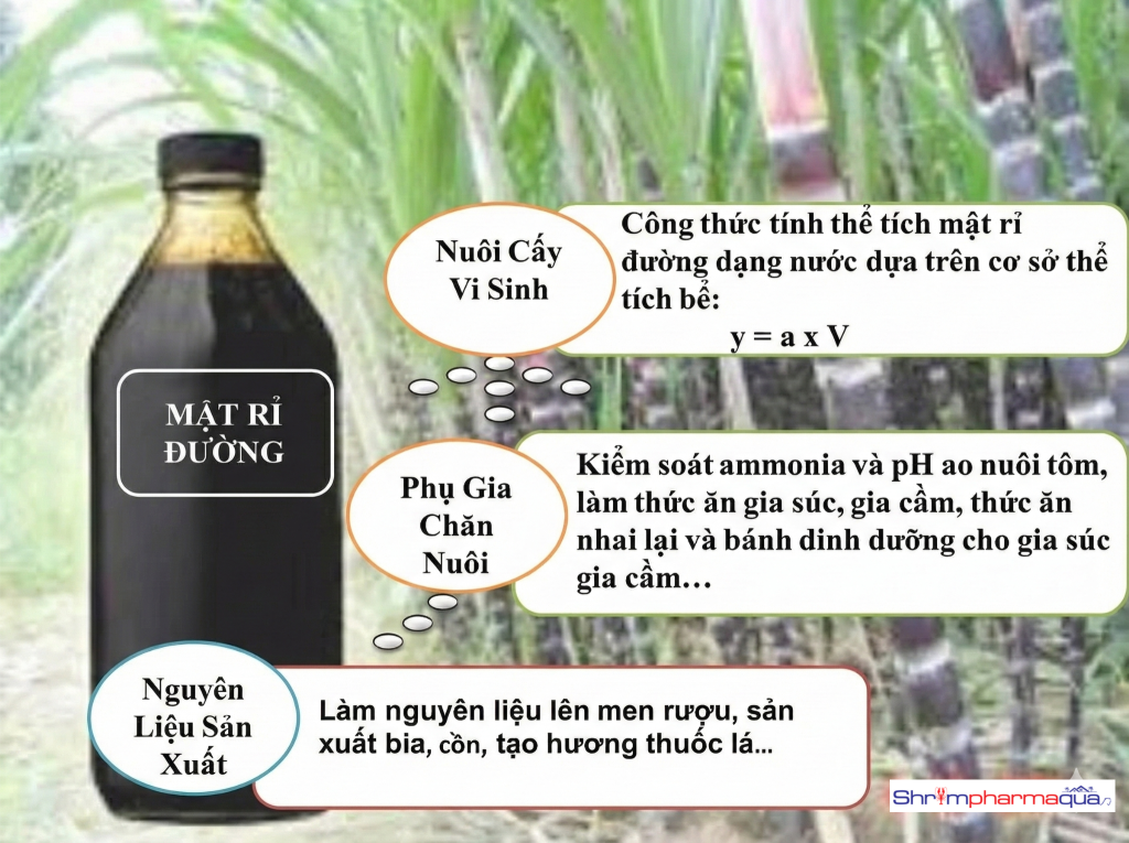 Thành Phần Hóa Học Của Mật Rỉ Đường