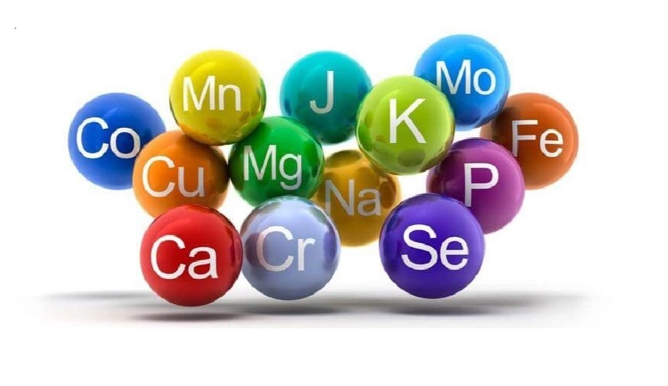 Vai Trò Cốt Lõi Của Khoáng Đa Lượng