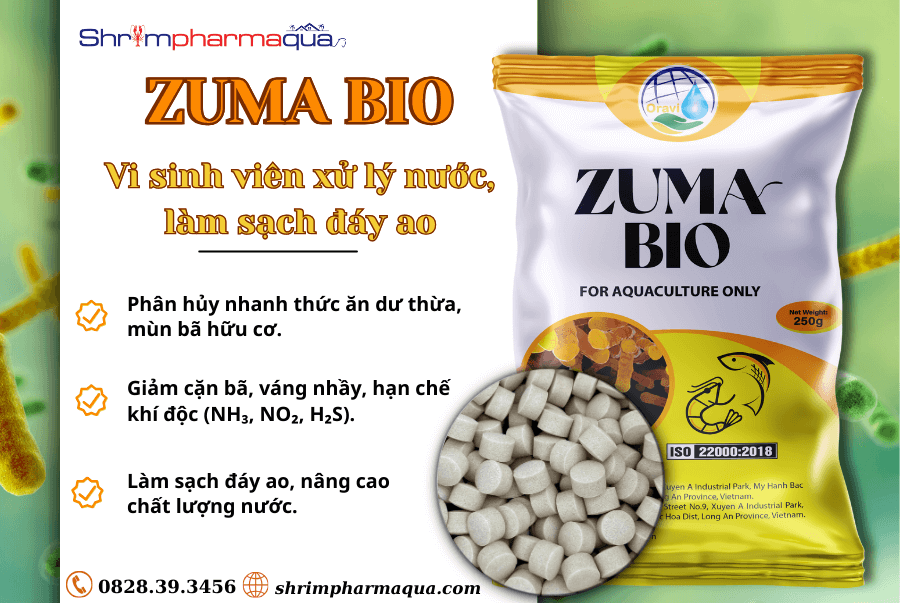 ZUMA BIO–Vi sinh viên xử lý nước, làm sạch đáy ao