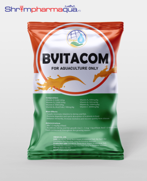 BVITACOM - Vitamin tổng hợp giúp giảm stress