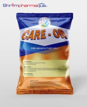 Care-Or - Men tiêu hóa, nong to đường ruột