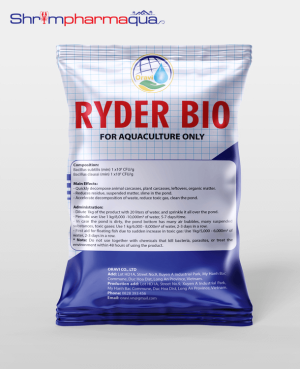 RYDER BIO – Vi sinh xử lý đáy
