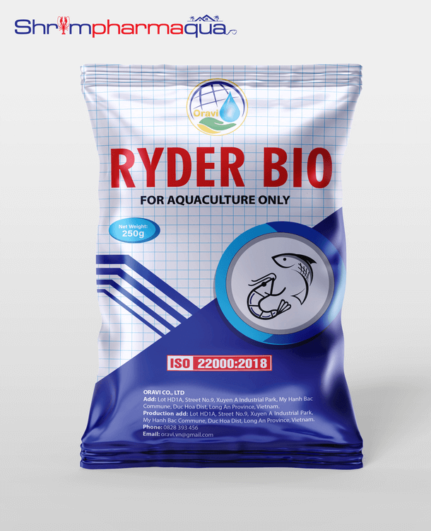 RYDER BIO – Vi sinh xử lý đáy và cải thiện chất lượng nước ao nuôi.