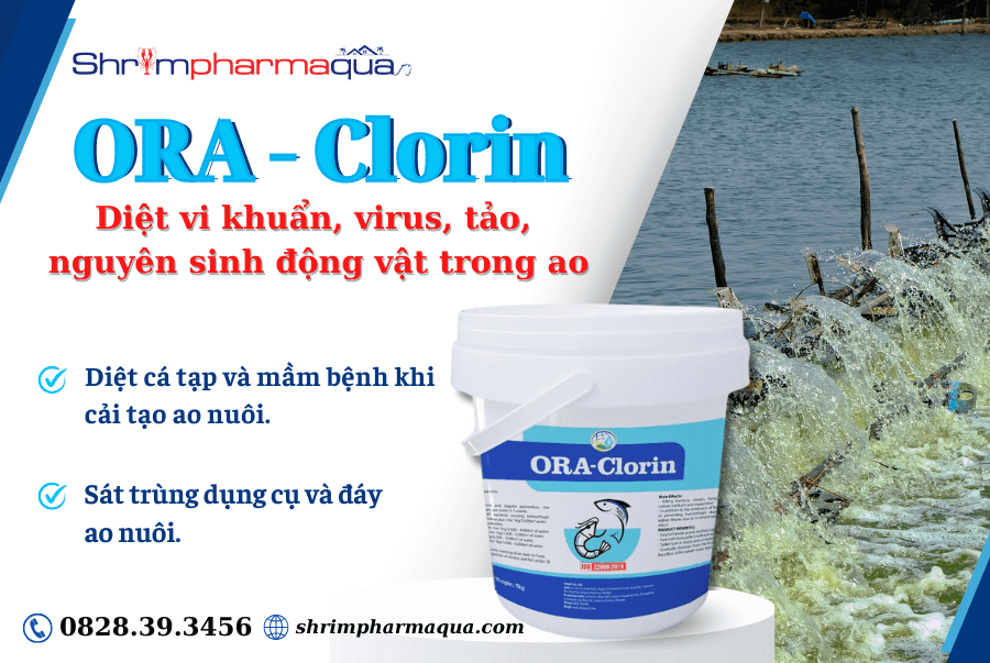 ORA-CLORIN diệt khuẩn, virus, tảo trong ao nuôi
