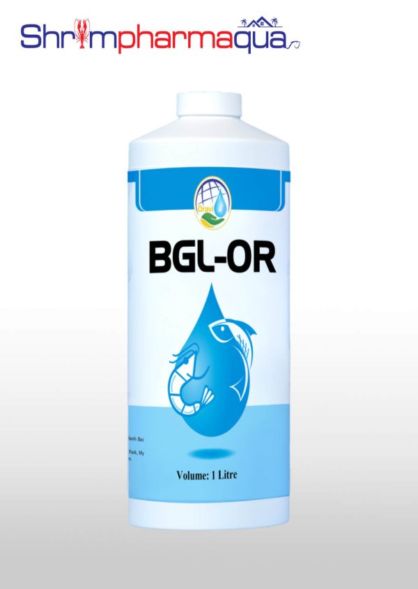 bgl-or sát trùng nước, diệt khuẩn