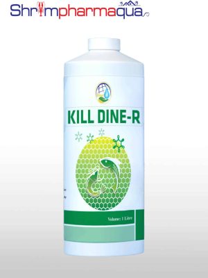 KILL DINE-R - Tiêu diệt vi khuẩn, ngăn ngừa phát sáng, phân trắng, đốm đen trên tôm