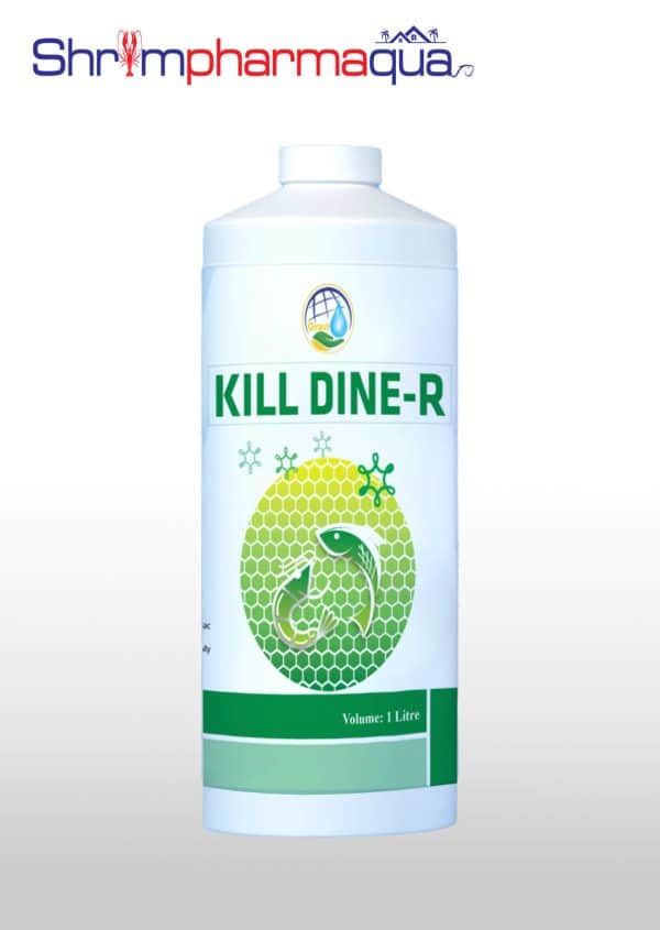 KILL DINE-R - Tiêu diệt vi khuẩn, ngăn ngừa phát sáng, phân trắng, đốm đen trên tôm