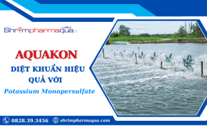AQUAKON – Sản phẩm diệt khuẩn hiệu quả chứa Potassium Monopersulfate