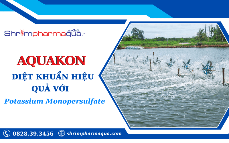 AQUAKON – Sản phẩm diệt khuẩn hiệu quả chứa Potassium Monopersulfate