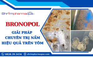 Bronopol giúp tiêu diệt nấm, vi khuẩn