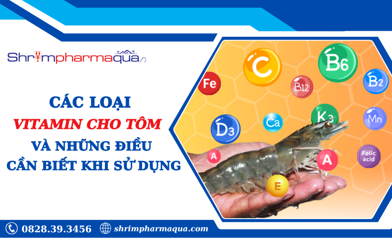 Các loại vitamin cho tôm và những điều cần biết khi sử dụng