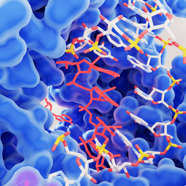 Enzyme là gì?