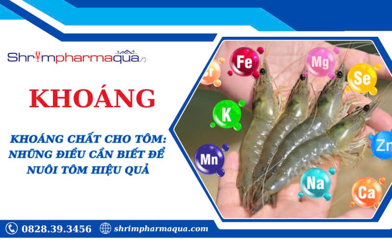 Khoáng Chất Cho Tôm: Những Điều Cần Biết Để Nuôi Tôm Hiệu Quả