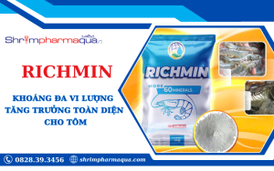 Giải Pháp Khoáng Đa Vi Lượng Tăng Trưởng Toàn Diện Cho Tôm