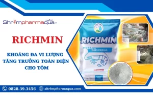 Khoáng đa vi lượng giúp tôm tăng trưởng toàn diện
