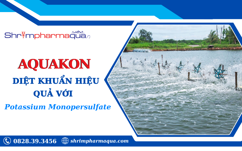 AQUAKON - Sản phẩm diệt khuẩn hiệu quả với Potassium Monopersulfate