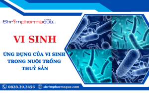 Vi sinh và ứng dụng của vi sinh trong nuôi trồng thuỷ sản