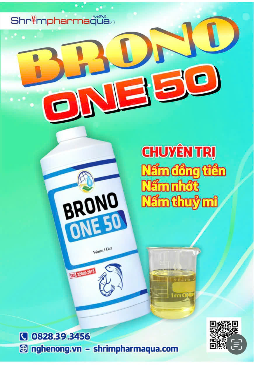 BRONO ONE 50