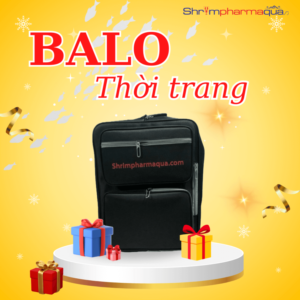 Balo thời trang cao cấp – Thiết kế tiện dụng, đồng hành cùng mọi phong cách.