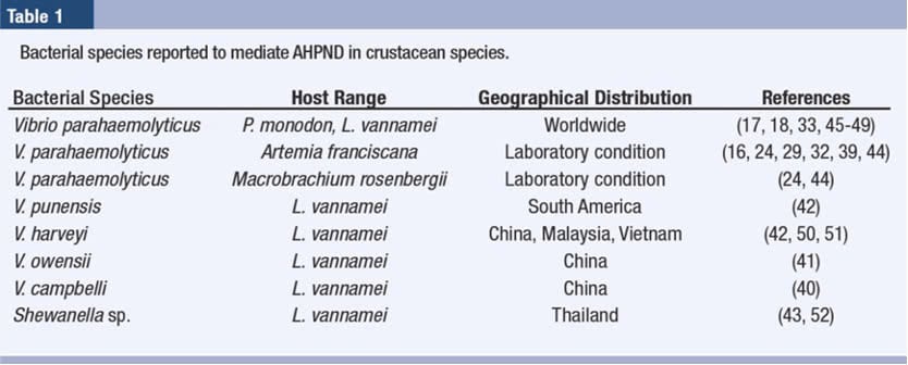 Tác Nhân Gây Bệnh Hoại Tử Gan Tụy Cấp (AHPND)