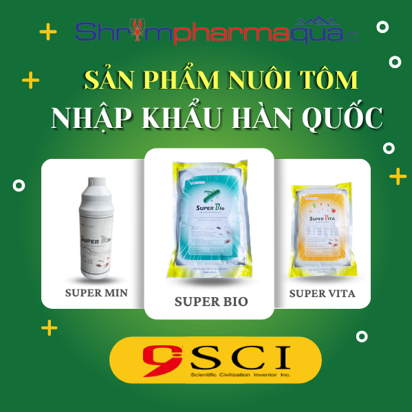 Ưu Đãi Khuyến Mãi Đặc Biệt Dành Cho Sản Phẩm SCI Hàn Quốc: