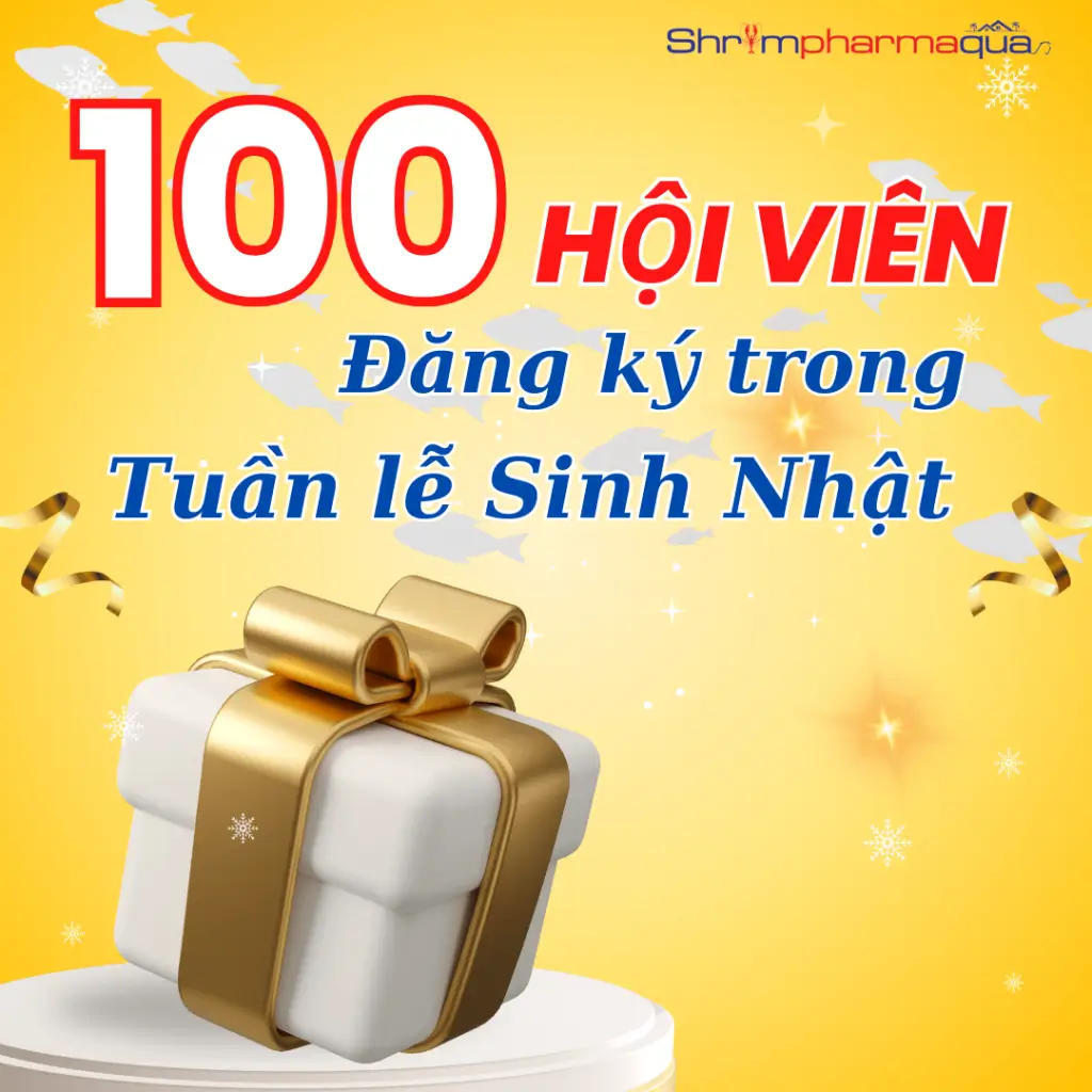 sinh nhật cùng shrimpharmaqua