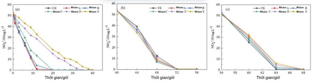 Hình 2: Quá trình loại bỏ nitrit (−NO₂⁻) trong từng nhóm thí nghiệm sau khi xử lý với các nồng độ KMPS khác nhau. (a) Lần bổ sung đầu tiên 𝑁𝑎𝑁𝑂2 ; (b) Lần bổ sung thứ hai 𝑁𝑎𝑁𝑂2 ; (c) Lần bổ sung thứ ba 𝑁𝑎𝑁𝑂2 .