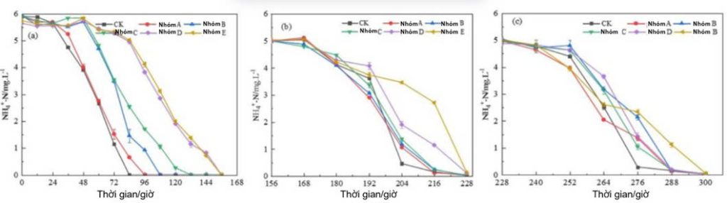 Hình 1: Quá trình loại bỏ amoniac (+NH₄⁻) trong từng nhóm thí nghiệm sau khi xử lý với các nồng độ KMPS khác nhau. (a) Lần bổ sung đầu tiên 𝑁𝐻4𝐶𝑙; (b) Lần bổ sung thứ hai 𝑁𝐻4𝐶𝑙; (c) Lần bổ sung thứ ba 𝑁𝐻4𝐶𝑙.