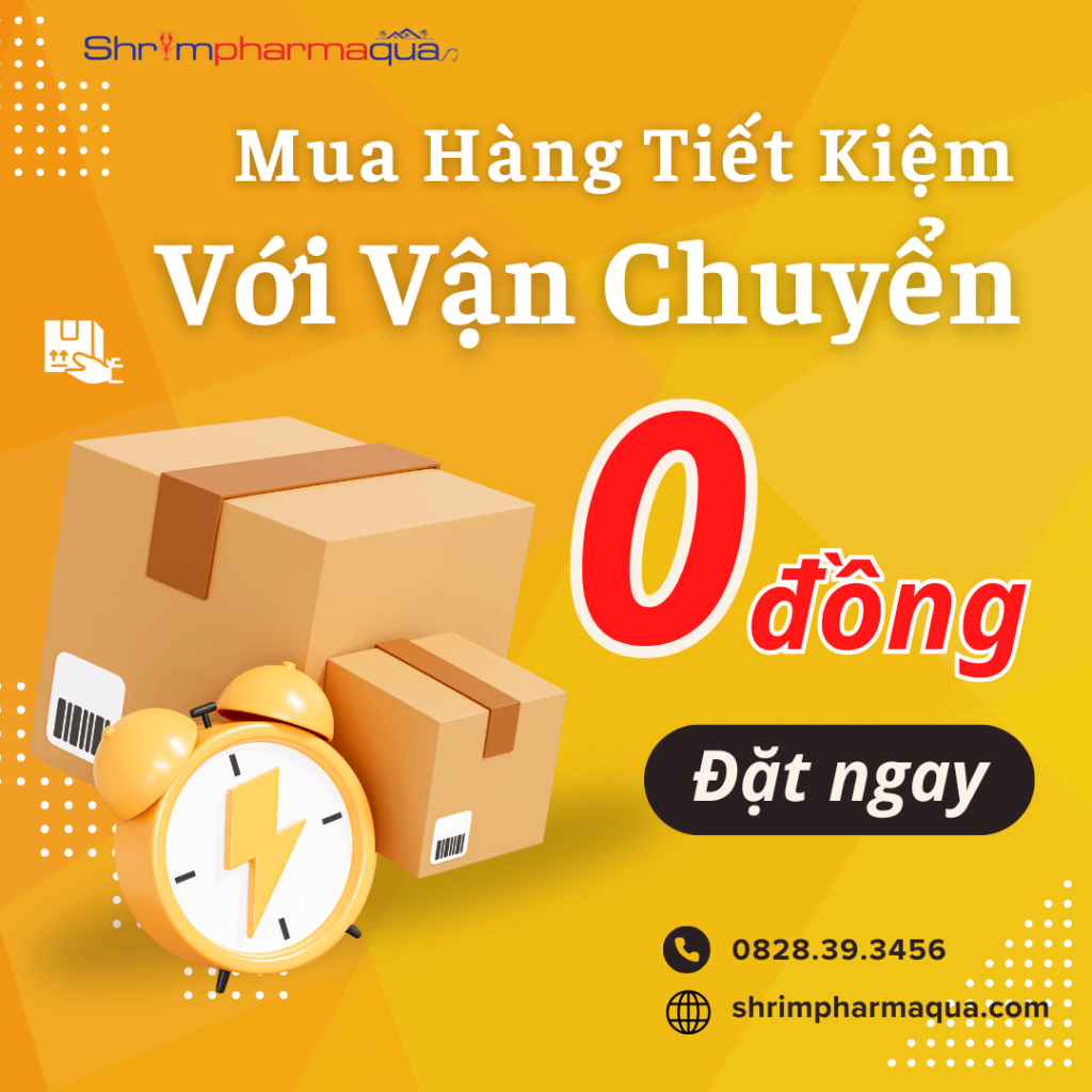 Mua hàng tiết kiệm với vận chuyển 0 đồng.