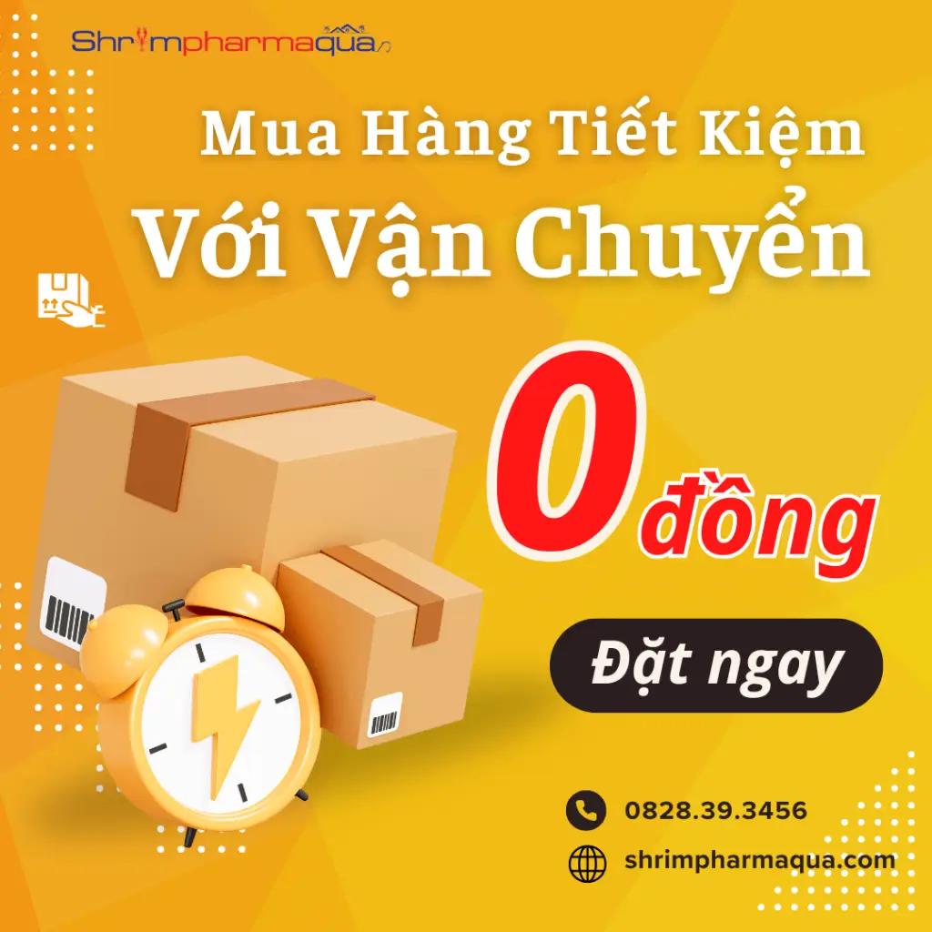 Mua hàng tiết kiệm với vận chuyển 0 đồng.