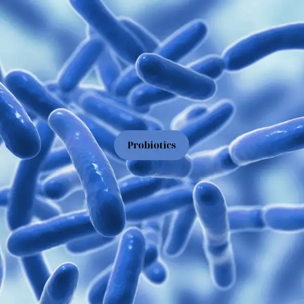 Probiotics trong nuôi trồng thủy sản