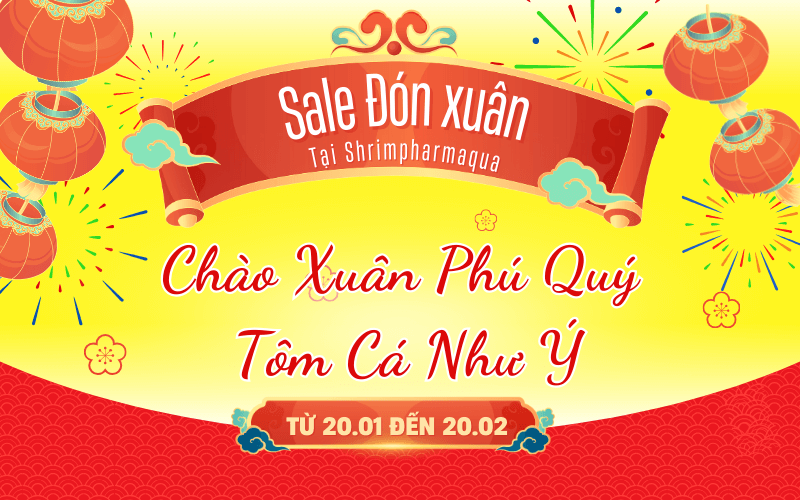 Tết Ất Tỵ 2025 - Sale Đón Xuân