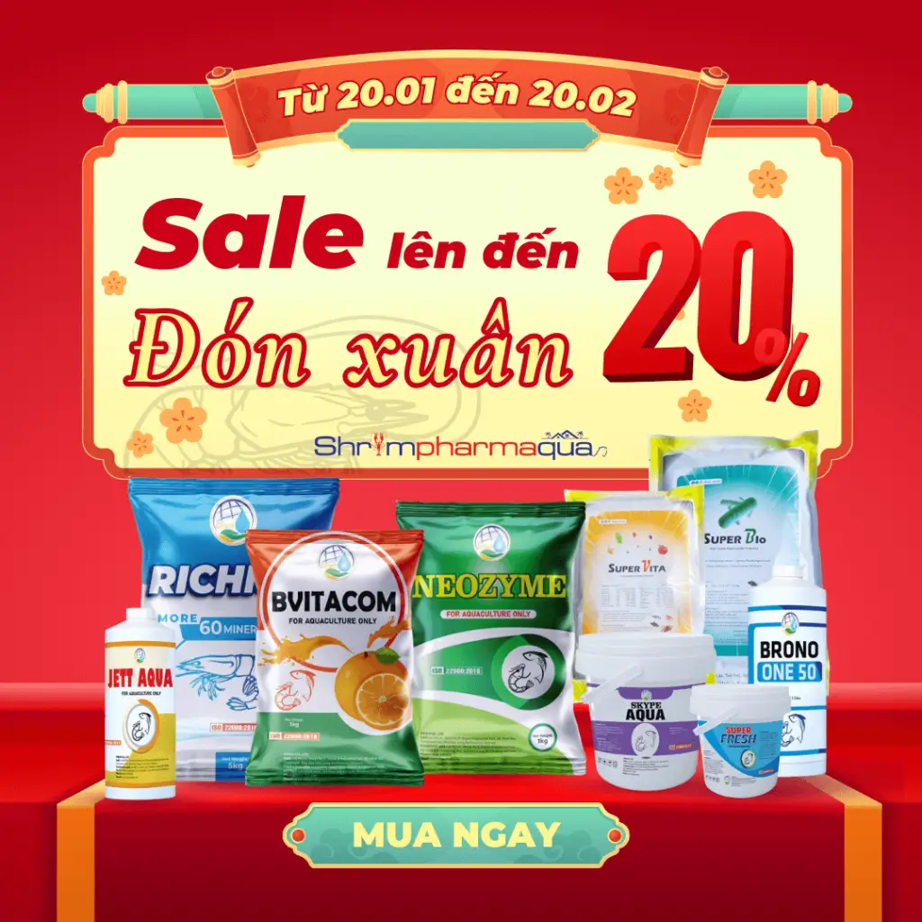 Sale Đón Xuân Cùng Shrimpharmaqua
