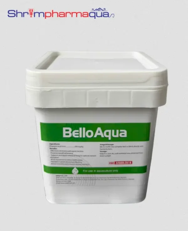 Bello aqua
