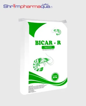 Bicar