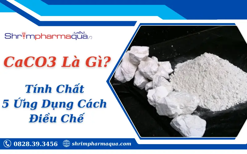CaCO3 Là Gì?