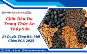 Chất Dẫn Dụ Trong Thức Ăn Thủy Sản: Bí Quyết Tăng Bắt Mồi & Giảm FCR 2025