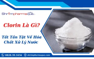 Clorin Là Gì? Tất Tần Tật Về Hóa Chất Xử Lý Nước