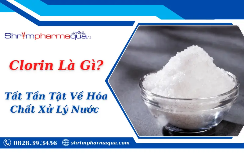 Clorin Là Gì? Tất Tần Tật Về Hóa Chất Xử Lý Nước