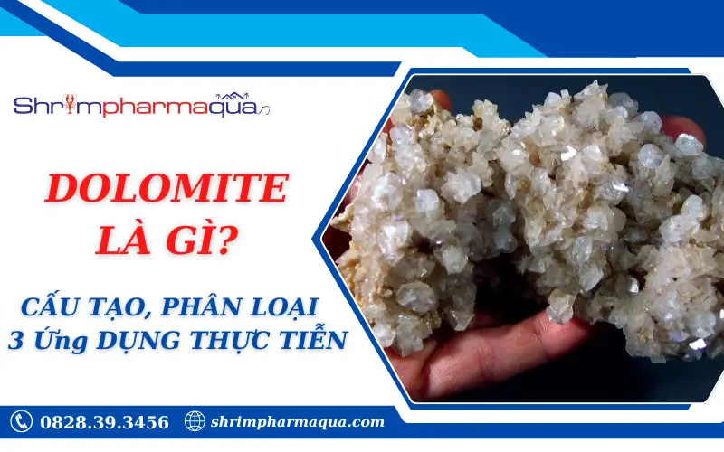 DOLOMITE LÀ GÌ? CẤU TẠO, PHÂN LOẠI & 3 Ứng DỤNG THỰC TIỄN