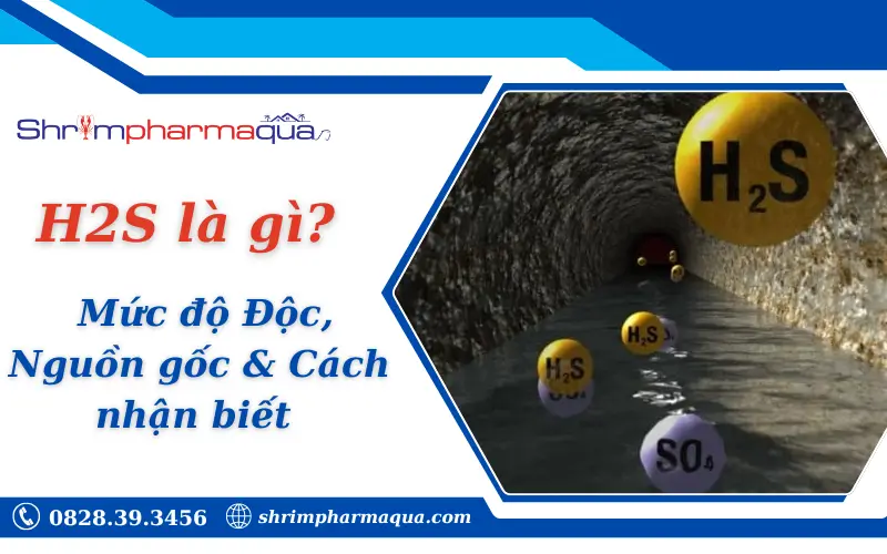 H2S là gì
