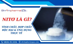 NITƠ LÀ GÌ?