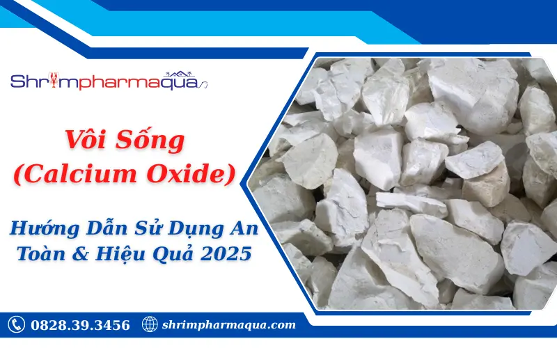 Vôi Sống (Calcium Oxide)