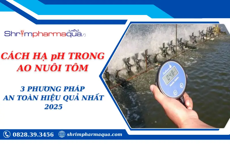 CÁCH HẠ pH TRONG AO NUÔI TÔM