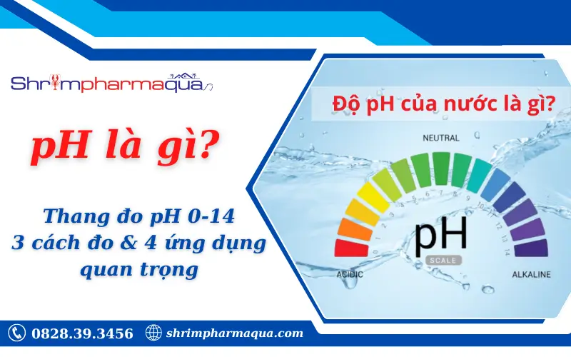 pH là gì?