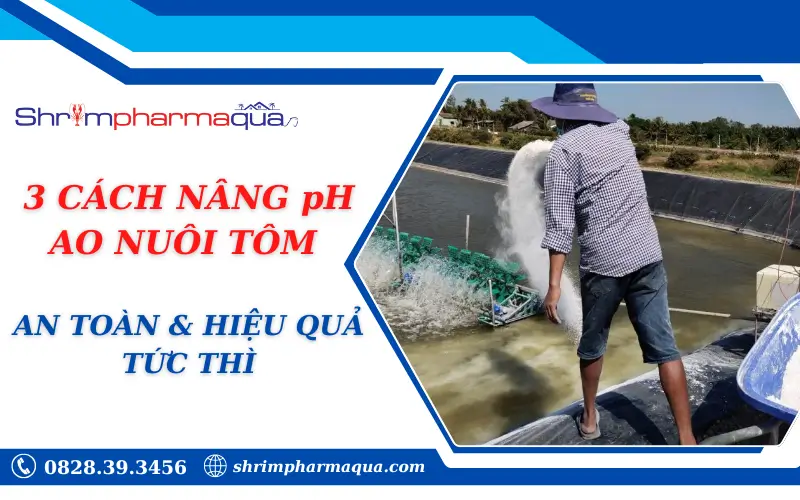 3 CÁCH NÂNG pH AO NUÔI TÔM AN TOÀN & HIỆU QUẢ TỨC THÌ